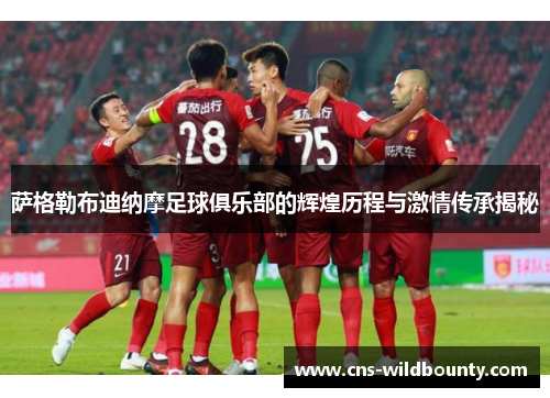 萨格勒布迪纳摩足球俱乐部的辉煌历程与激情传承揭秘