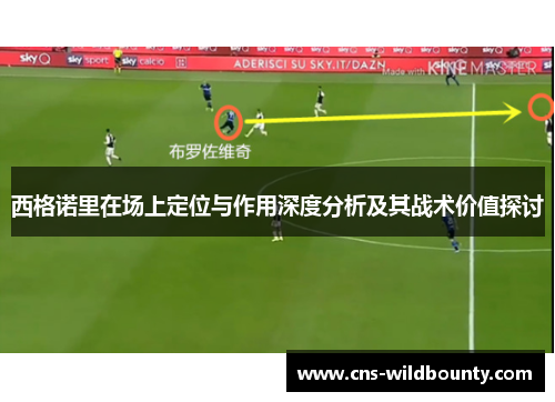 西格诺里在场上定位与作用深度分析及其战术价值探讨