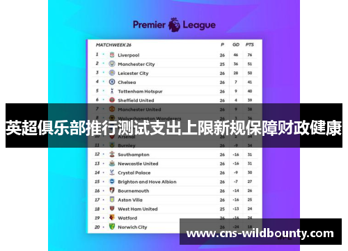 英超俱乐部推行测试支出上限新规保障财政健康 英超俱乐部推行测试支出上限新规保障财政健康